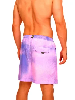 Boxer Mare Y02 - Viola