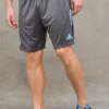 Real Short - Grey